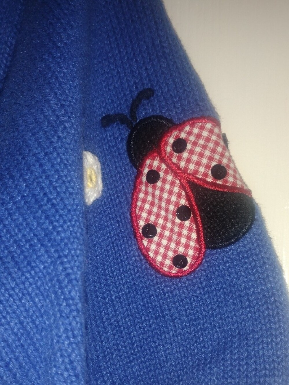 Blue Ladies Short-Sleeve Cardigan with Floral & Ladybug Appliqués - Picture 6 of 10